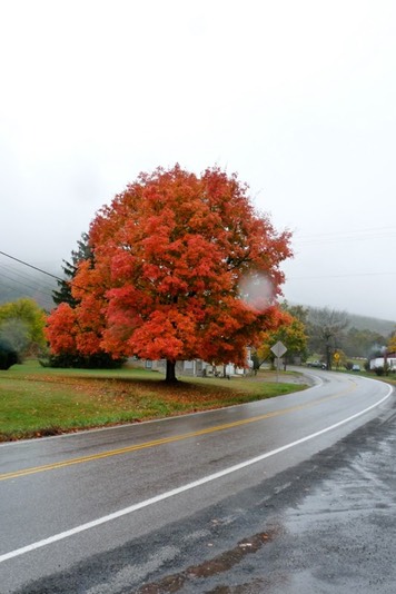 2009-10-15_16-11-04
